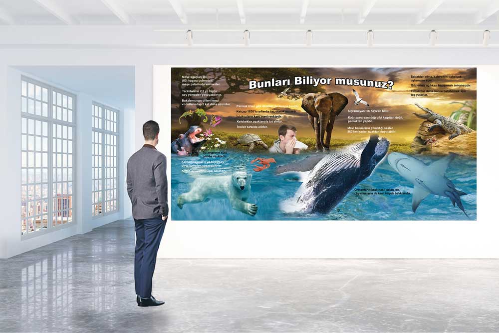 Bunları biliyormusunuz