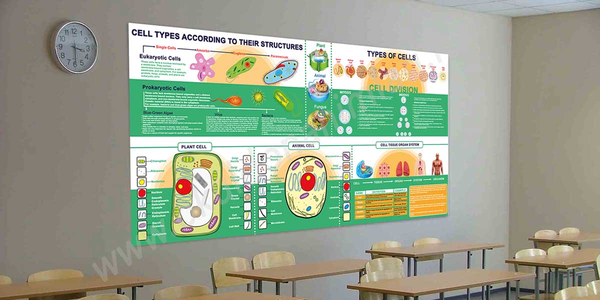 Cell poster