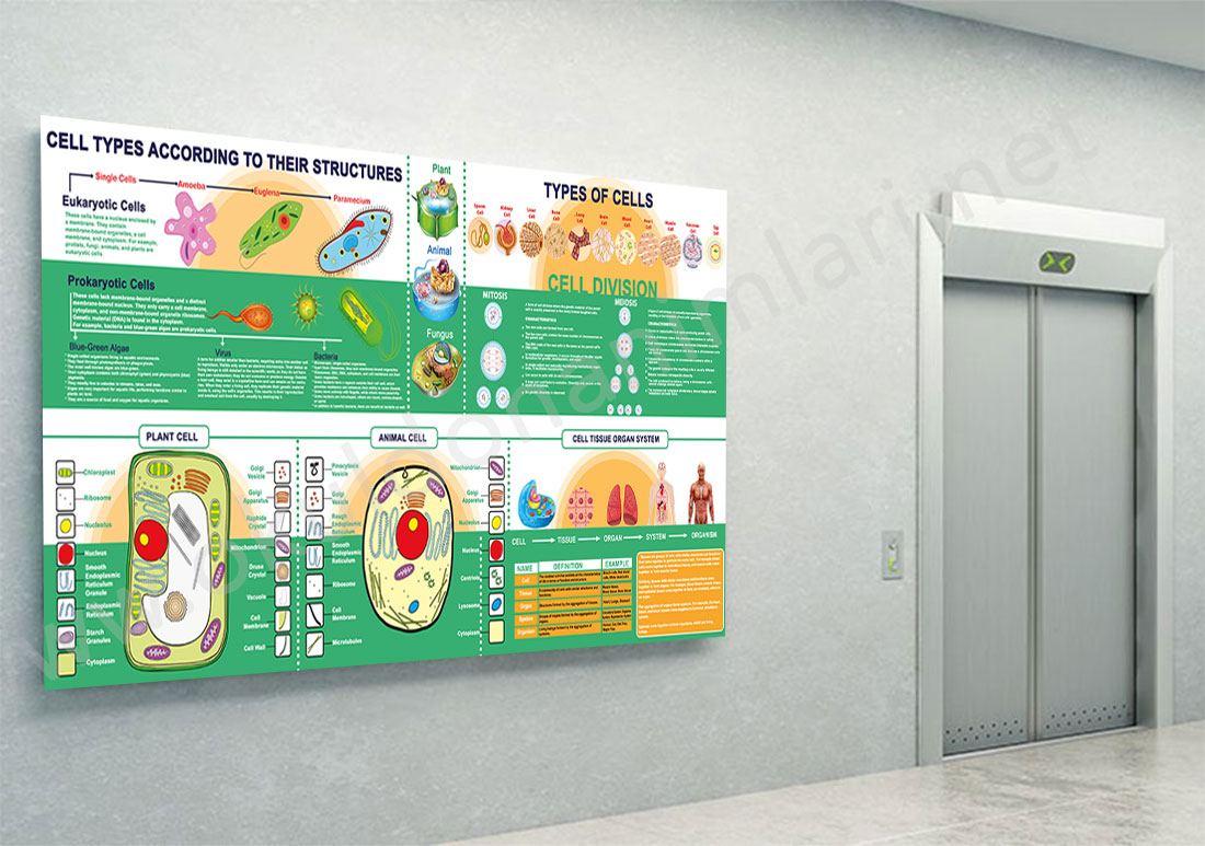 Cell poster