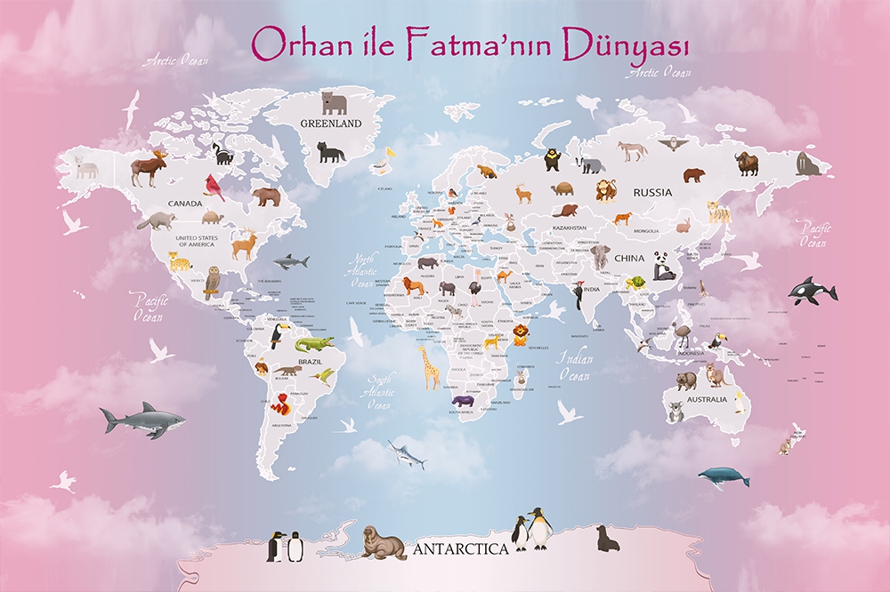 Dünya Haritası