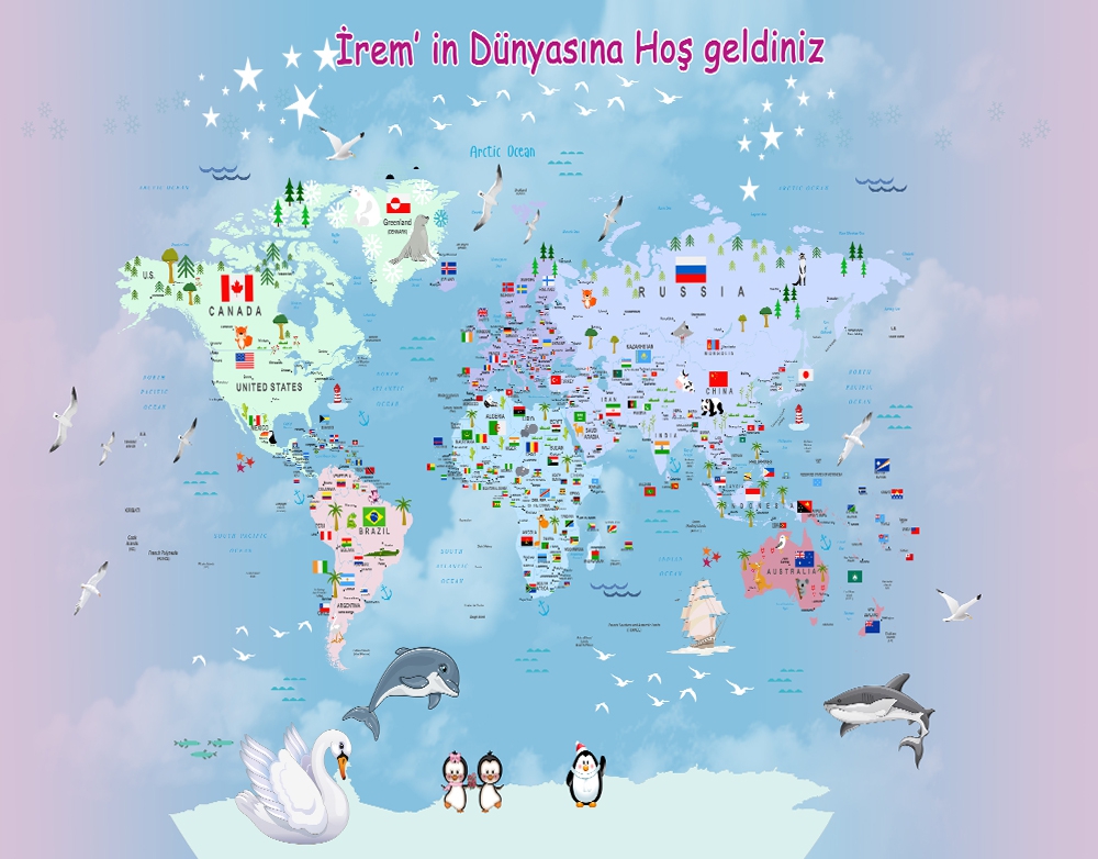 Dünya Haritası