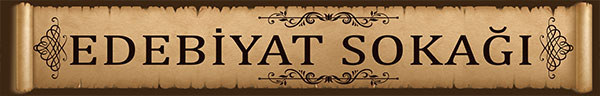 Edebiyat Sokağı yazısı