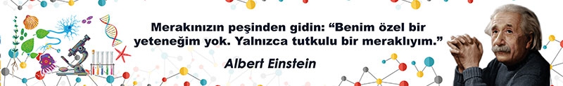 Albert Einstein