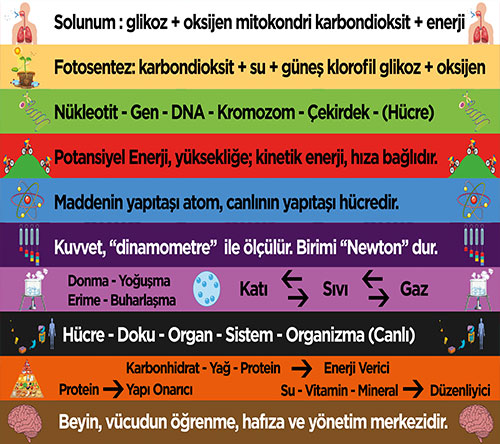 Fen merdiven yazisi