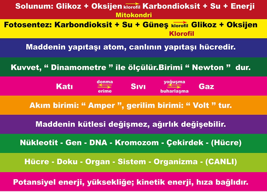 Fen Merdiven yazisi