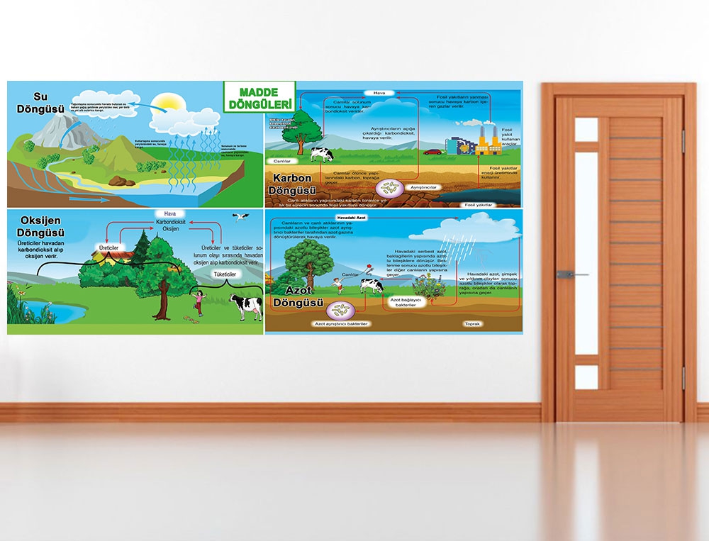Madde Döngüleri posteri