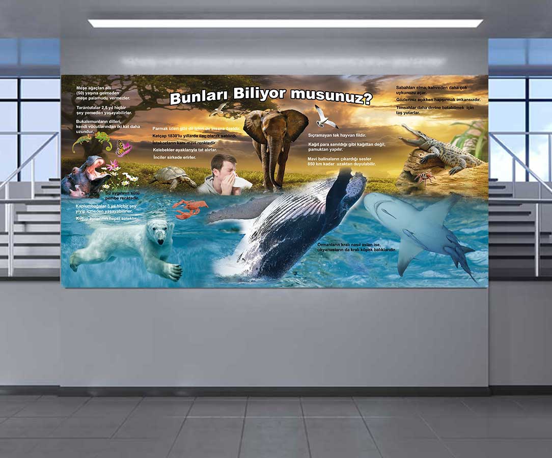 Bunları Biliyormuydunuz?