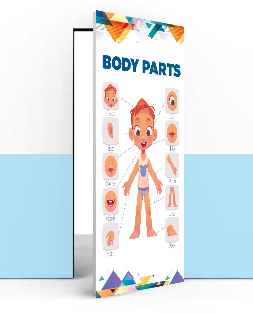 Body Parts