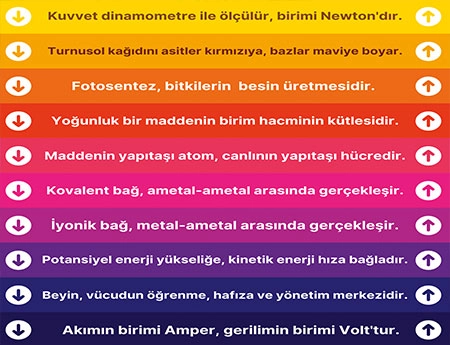 Fen Bilimleri Merdiven Giydirme