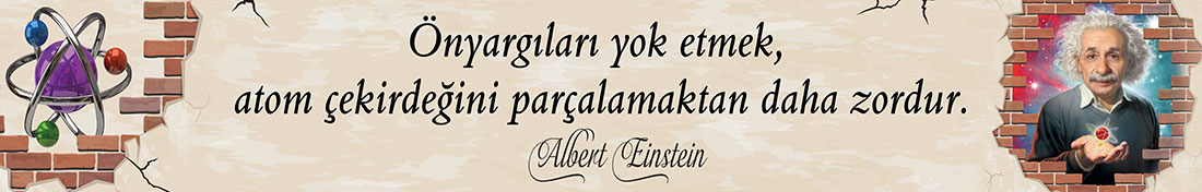 Albert Einstein