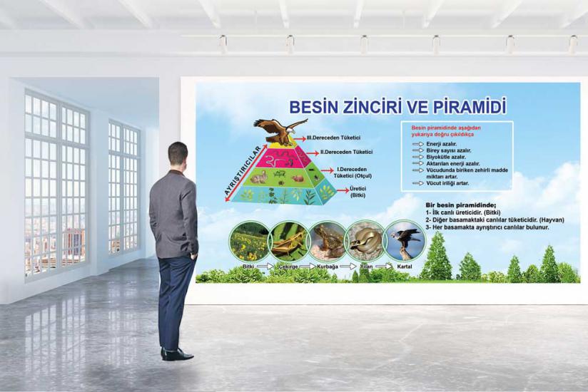 Fen sokağı, fen sokağı posterleri, fen koridoru, fen bilgisi kapı giydirme, laboratuvar kapı giydirme, fen bilgisi kiriş yazıları, fen bilimleri, fen bilgisi posteri, fen bilgisi afişleri, fen sokağı