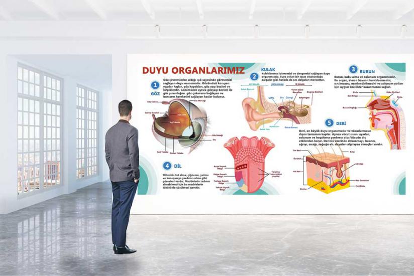 Fen sokağı, fen sokağı posterleri, fen koridoru, fen bilgisi kapı giydirme, laboratuvar kapı giydirme, fen bilgisi kiriş yazıları, fen bilimleri, fen bilgisi posteri, fen bilgisi afişleri, fen sokağı