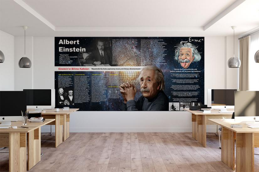 Einstein posteri okul afişi hızlı kargo