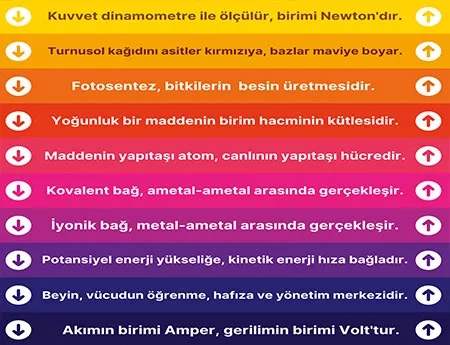Okul Merdiven Basamak Giydirme