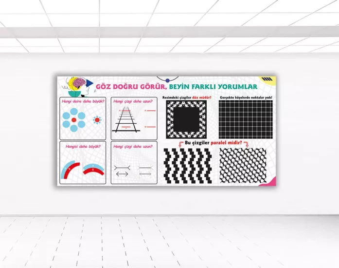 Optik İllüzyonlu Eğitici Duvar Posteri