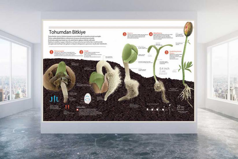 Fen sokağı, fen sokağı posterleri, fen koridoru, fen bilgisi kapı giydirme, laboratuvar kapı giydirme, fen bilgisi kiriş yazıları, fen bilimleri, fen bilgisi posteri, fen bilgisi afişleri, fen sokağı