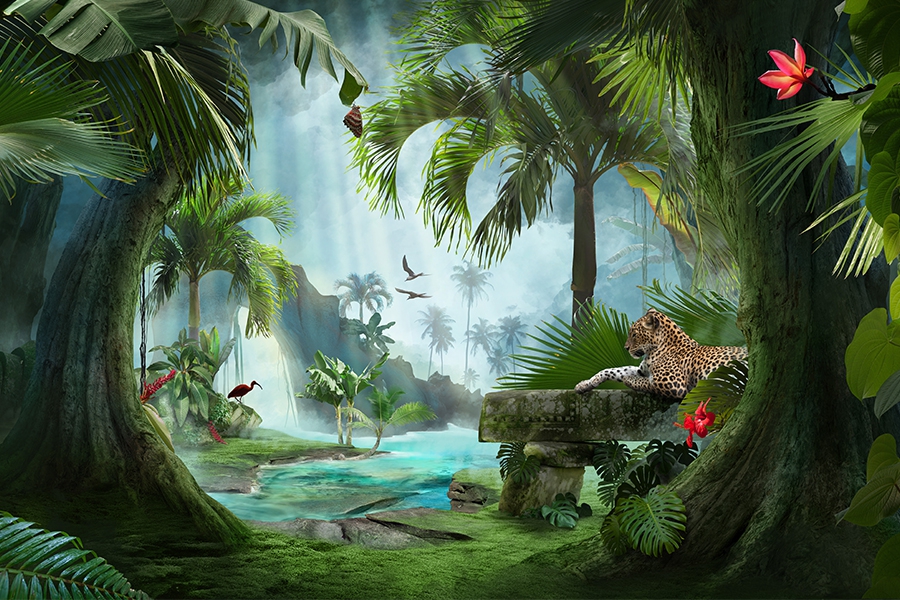 Tropical orman